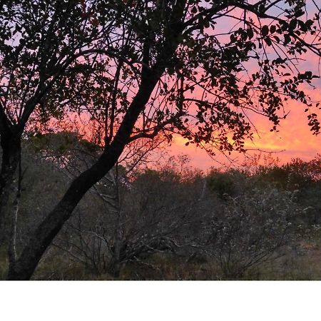Lion King Villa Marloth Park Dış mekan fotoğraf
