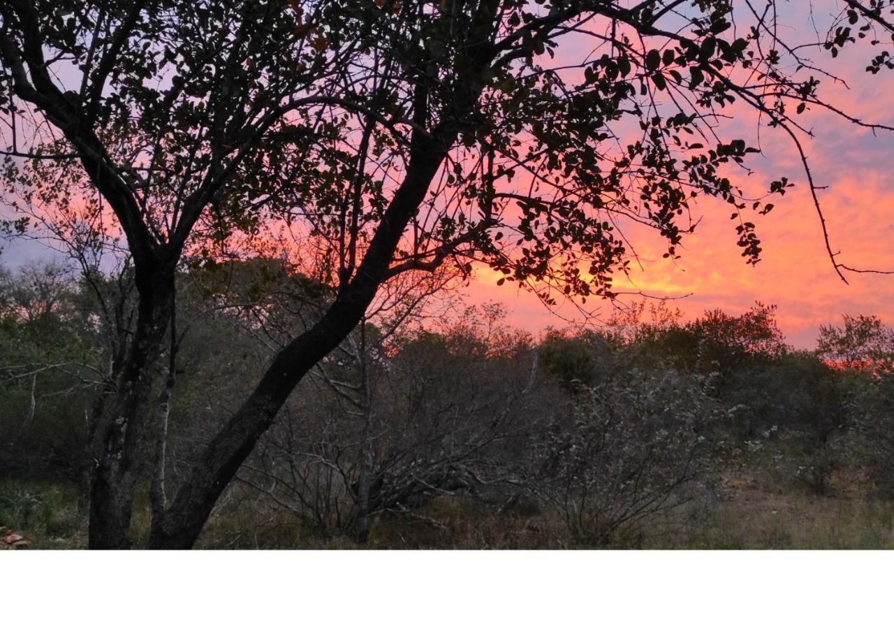 Lion King Villa Marloth Park Dış mekan fotoğraf