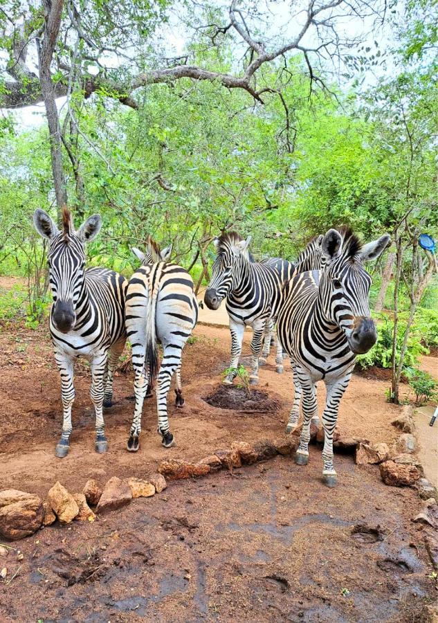 Lion King Villa Marloth Park Dış mekan fotoğraf