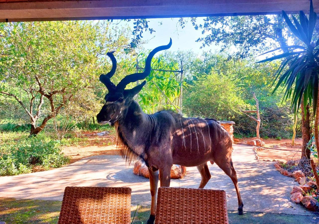 Lion King Villa Marloth Park Dış mekan fotoğraf