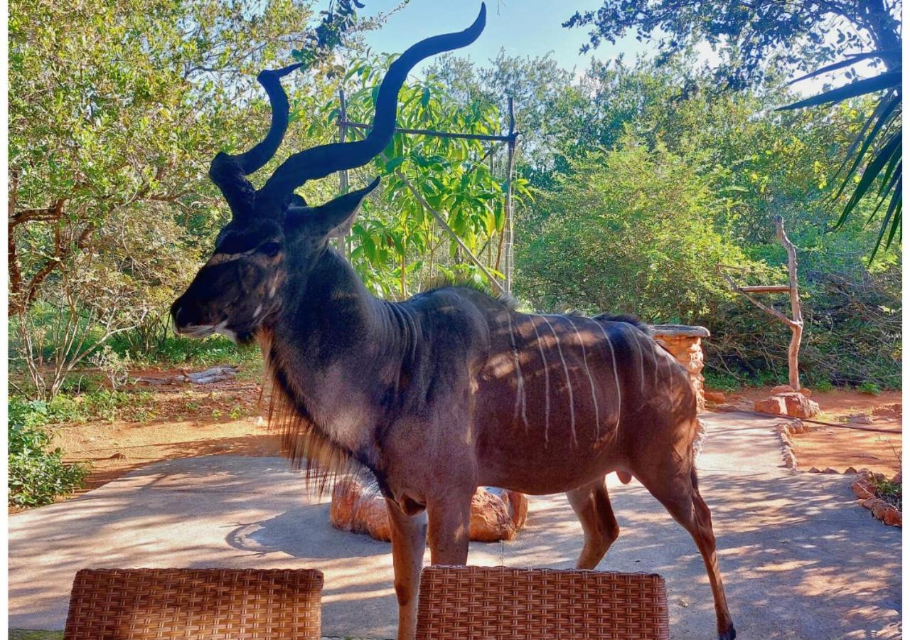 Lion King Villa Marloth Park Dış mekan fotoğraf