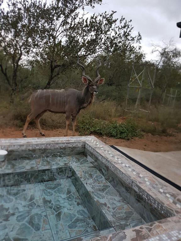 Lion King Villa Marloth Park Dış mekan fotoğraf