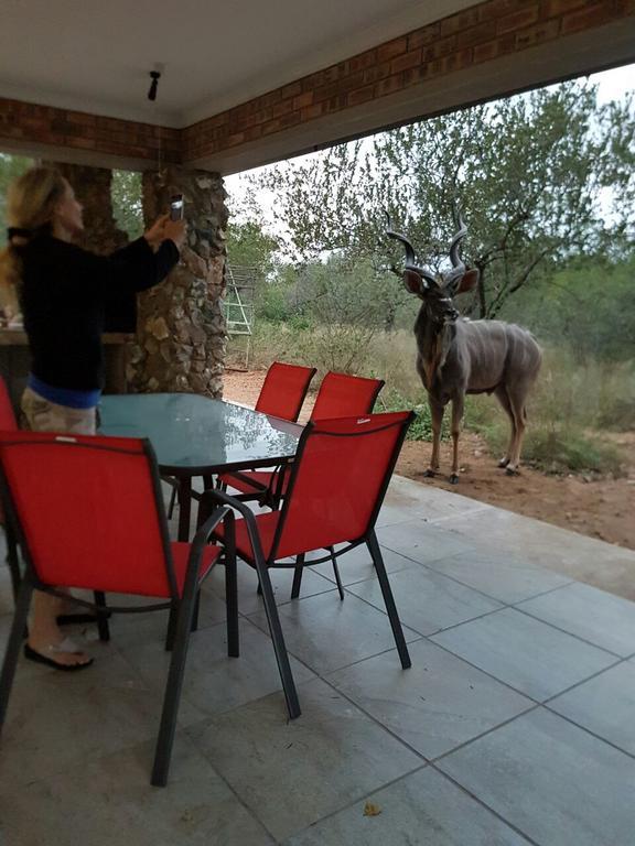 Lion King Villa Marloth Park Dış mekan fotoğraf